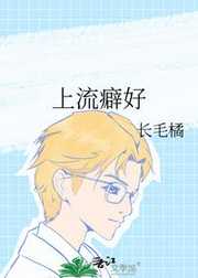 长毛橘：上流癖好