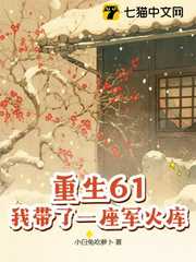 重生61，我带了一座军火库