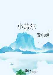 发电姬：小燕尔
