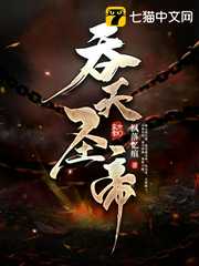 枫落忆痕：吞天圣帝