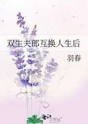 双生夫郎互换人生后